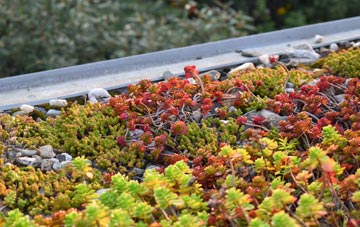 the cost of Buckoak green roof installation