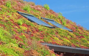 Buckoak living roof systems