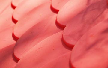 Buckoak plastic roof costs